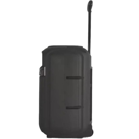 Портативна колонка RX-8188 Bluetooth 5.0 з караоке-мікрофоном, LED-підсвіткою, FM, USB, AUX та акумулятором 1800 мА·год