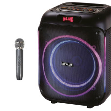 Колонка акустична ZXX-5502 800 Вт, 1×8″, TWS/FM/USB/TF, на акумуляторі, з мікрофоном, 285×270×365 мм